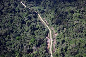 Amazon Rainforest - Deforestation in Brazil - IBAMA