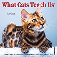 What Cats Teach Us 2022 Mini Wall Calendar