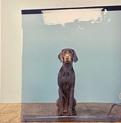 William Wegman, ‘Lakeview’, 1996