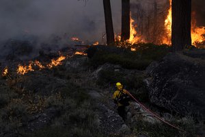 In this Sept. 2, 2021, file photo, a firefighter carries a water hose toward a spot fire from the Caldor Fire burning along Highway 89 near South Lake Tahoe, California.