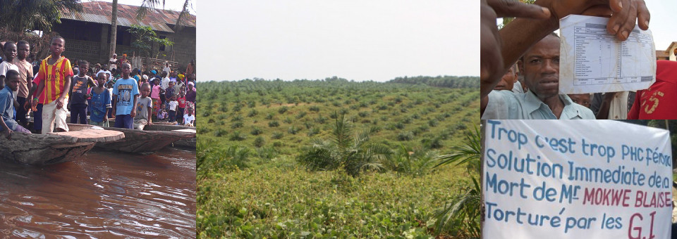 Community struggles against oil palm company Feronia-PHC in the DR Congo