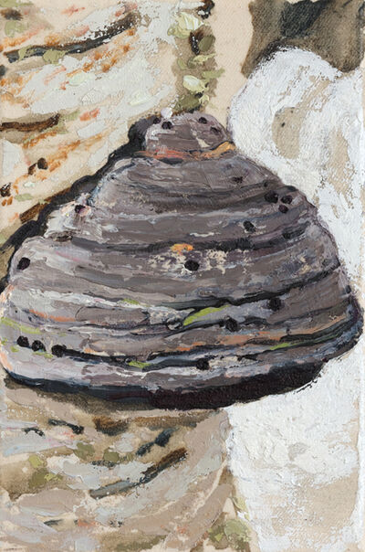 Sara-Vide Ericson, ‘(polypore)’, 2021