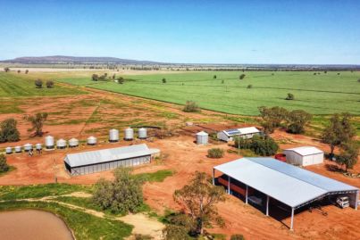 Sheep farm sells $720k over reserve as Sir Michael Hintze lists again