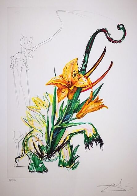 Salvador Dalí, ‘Elephant Lily ’, 1972