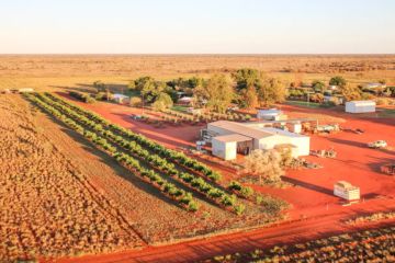 NT fodder-growing ‘oasis' snapped up by conglomerate