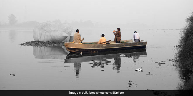 Yamuna Cleanup: National Green Tribunal Seeks Report From Delhi Authorities On River’s Cleanliness Status