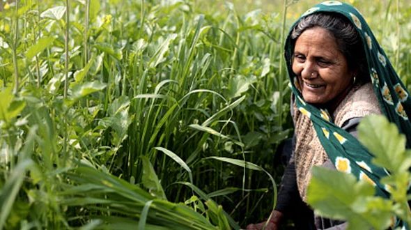 Krishna lives in Kelhora village of Satna district’s Majhgawan block in Madhya Pradesh, where children still lose their lives due to malnutrition