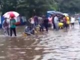 Local Residents Help BMC Staff in Waterlogged Mumbai