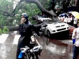 Heavy Rain in Mumbai Causes Extensive Damage, Trees Fall