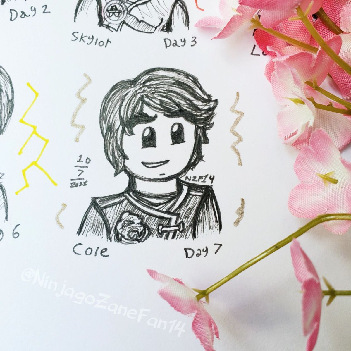 Ink doodle of Cole from Ninjago