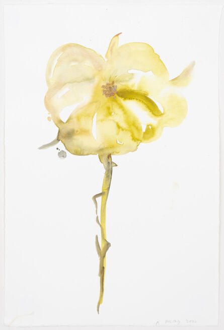 Kim McCarty, ‘Untitled (Petunia)’, 2020