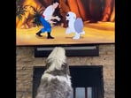 The dog starts to bark after seeing itself on the TV screen. (Twitter/@fred035schultz)