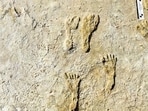 Fossilized human fossilized footprints at the White Sands National Park in New Mexico. (AP)