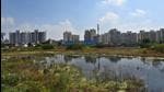 Larvae breeding is a major concern as cases of dengue continue to mount. A pool of water is stagnating on a vacant plot in Sector 37C. (Vipin Kumar /HT PHOTO)