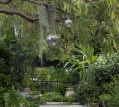 Inside an inner-city garden in Sydney’s Redfern.