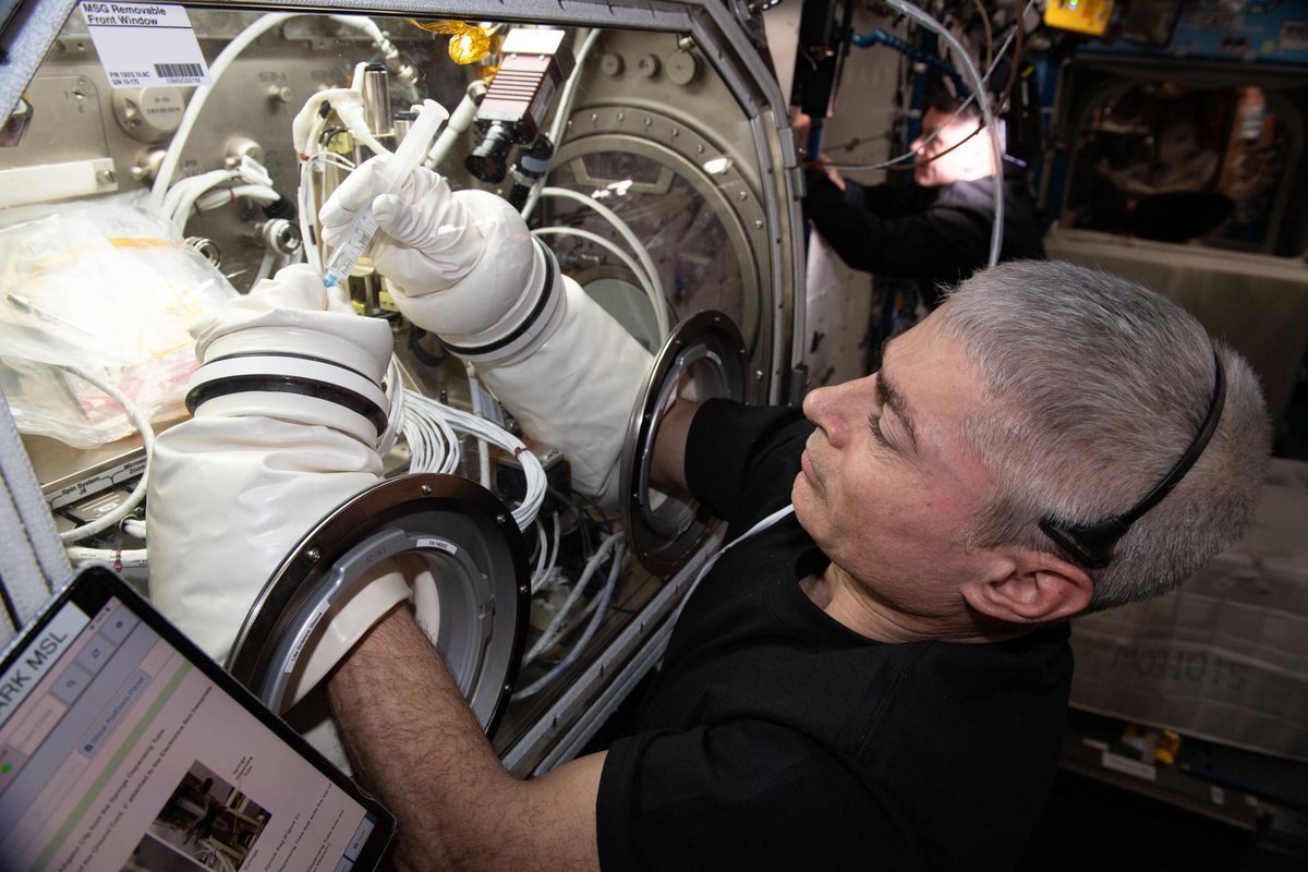 NASA astronaut Mark Vande Hei works on the Ring Sheared Drop Investigation that uses microgravity to study proteins associated with diseases such as Alzheimer’s and Parkinson’s.
Credits: NASA