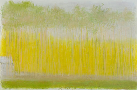 Wolf Kahn, ‘Pale Yellow Landscape’, 2011