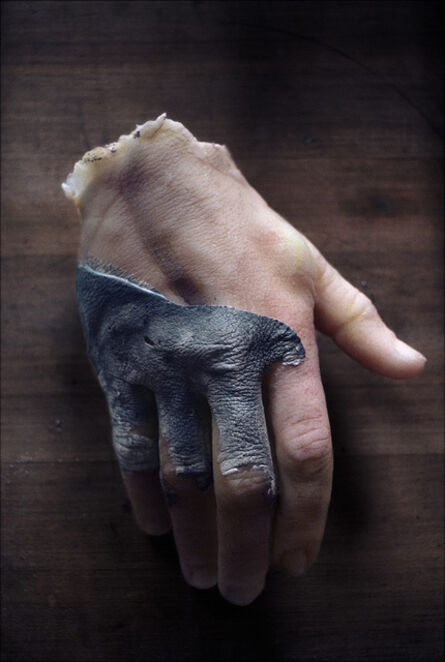 Peter Hujar, ‘Hand Sculpture from the Tomb’, 1967/2010