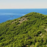 Niti jedan otok nema toliko ume kao Mljet