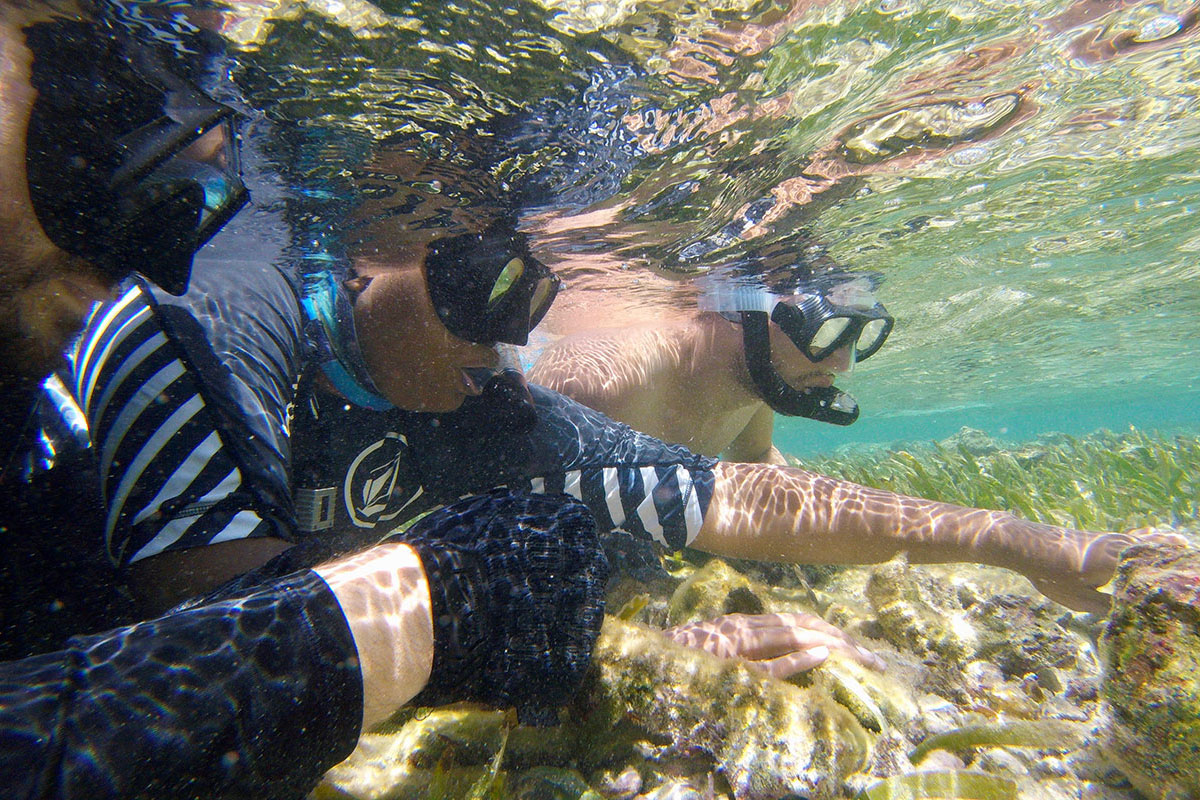 Seen underwater, three people snorkeling in shallow water examine green algae on a rock.