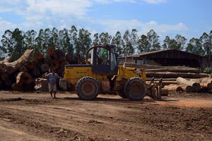 Amazon Rainforest - Deforestation in Brazil - IBAMA