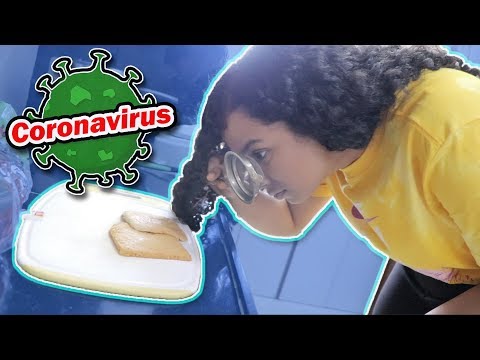 The Lies About Coronavirus!