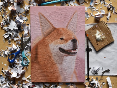 Tofu, studio 1 collage dog illustration illustration portrait studio dog