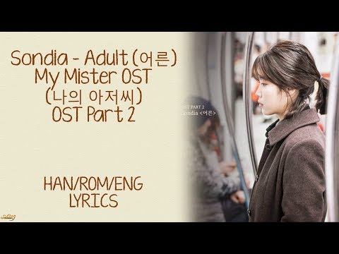 Sondia (손디아) - Adult (어른) My Mister/나의 아저씨 OST Part 2 LYRICS