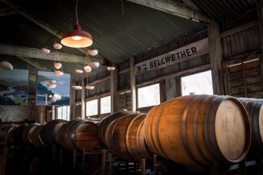 Bellwether Wines provides dining, wine-tasting, music, glamping and camping in the heart of the Coonawarra wine region, ...