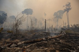 File - Fire consumes land deforested by cattle farmers near Novo Progresso, Para state, Brazil, Sunday, Aug. 23, 2020.