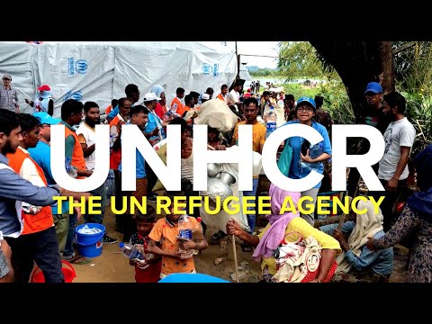 UNHCR, The UN Refugee Agency