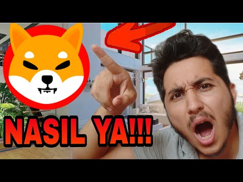 SHIBA INU SAHİPLERİ: BİTTİ Mİ? SHIBASWAP BAŞARISIZ MI? (KÖTÜ HABER) - shiba coin analiz , kripto