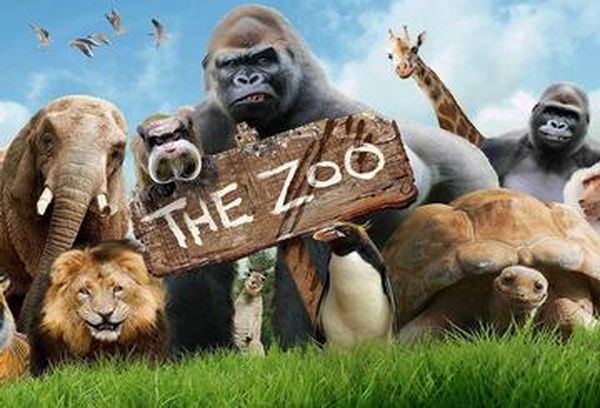 The Zoo