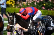 Jockey James McDonald celebrates as returns to scale on Verry Elleegant after taking out the Melbourne Cup.