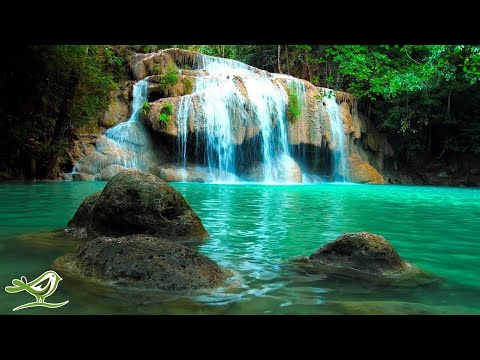 Relaxing Zen Music with Water Sounds • Peaceful Ambience for Spa, Yoga and Relaxation