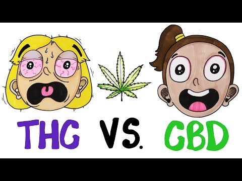 THC vs CBD: What's In Your Weed?