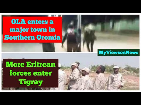 Ethiopia: OLA Negele Borana | Tigray