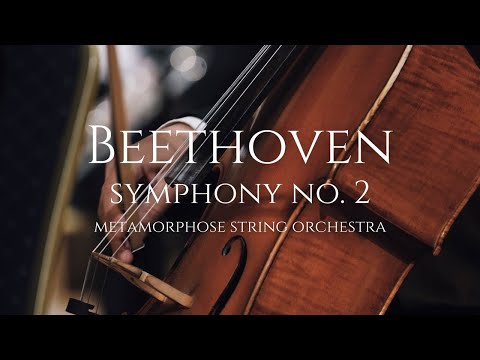 Beethoven: Symphony No. 2 in D major, Op. 36