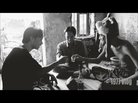 1977 Vlog - Cách Chí Phèo đối xử với các ác ngày Tết