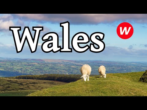 Facts about Wales | Englisch-Video für den Unterricht