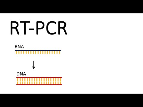 How we test for SARS-CoV-2 - RT-PCR (Reverse Transcription PCR)