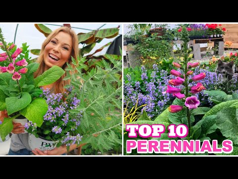 Top 10 Perennials | Sunny Varieties We Are Excited to Grow This Year // Garden Farm