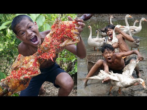 Primitive Technology - Kmeng Prey - Meet Goose Cooking Eating Delicious