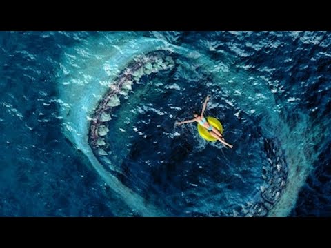 The Meg - Megalodon Shark Beach Attack Scene (2018) Movie Clip