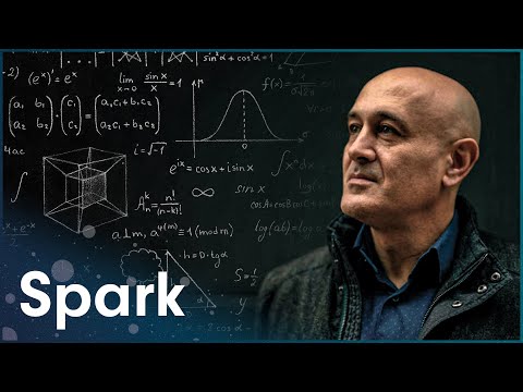 How Information Helps Us Understand The Fabric Of Reality | Order and Disorder | Spark