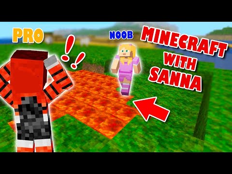 PRO Vs NOOB Minecraft With Sanna!