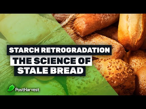 Starch Retrogradation | The Science of Stale Bread