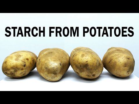 Extracting the starch from potatoes