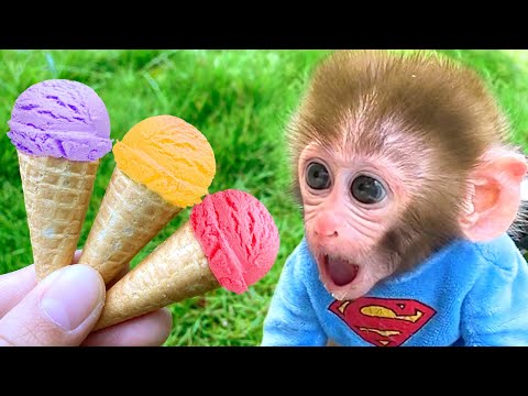 Baby monkey Bon Bon Eats Ice Cream And Swims With Puppy And Duckling