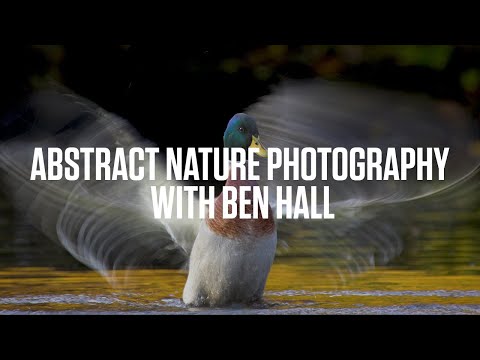 Abstract Nature photography with Ben Hall